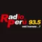 Logo de Radio P 93.5
