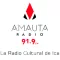 Amauta Radio 91.9 FM