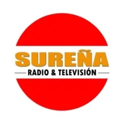 Logo de Radio Televisión Sureña